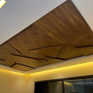 plafonds NOYER sur mesure